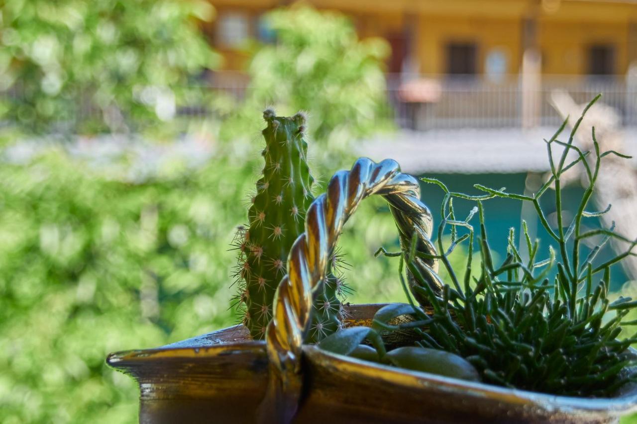 Casa El Susurro Villa Ponferrada Bagian luar foto